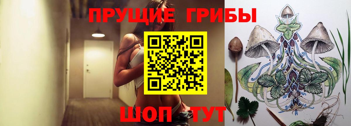 Галлюциногенные грибы мухоморы Сунжа