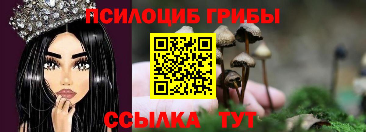Сунжа  Галлюциногенные грибы ЛСД  Галлюциногенные грибы ЛСД  Вход с VPN 